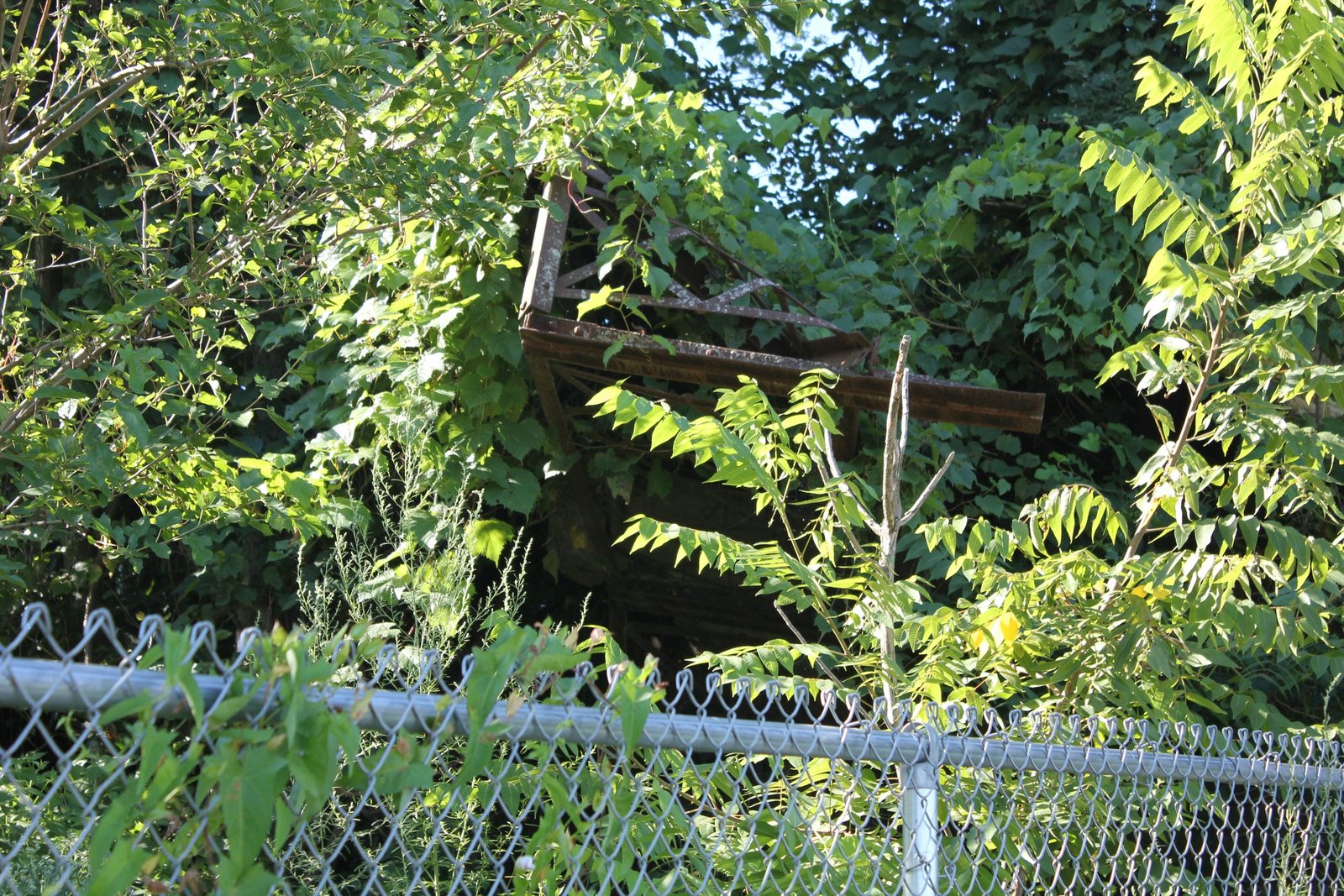 Remains of walkway at south abutment
